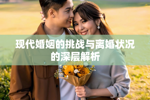 现代婚姻的挑战与离婚状况的深层解析