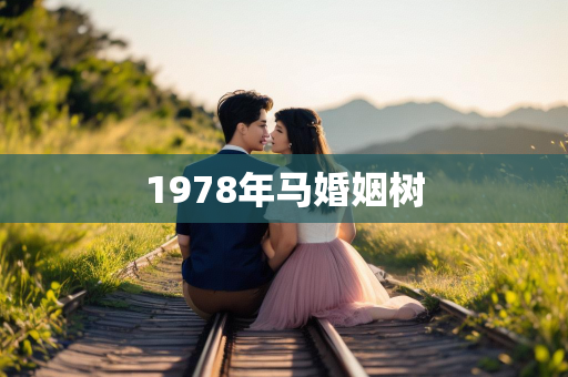 1978年马婚姻树