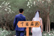 婚姻幸福无捷径（婚姻幸福无捷径的句子）