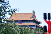 历史八年级（历史八年级下册复习提纲）