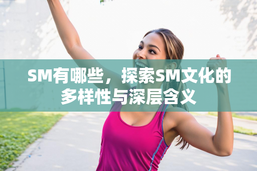 SM有哪些，探索SM文化的多样性与深层含义