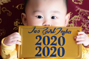 2020元旦宝宝起名（2021年元旦宝宝起名）