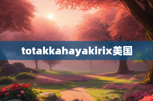 totakkahayakirix美国