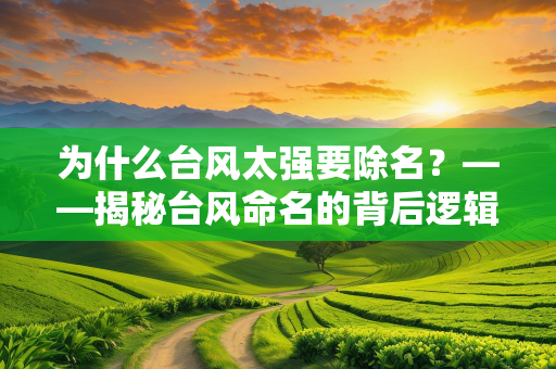 为什么台风太强要除名？——揭秘台风命名的背后逻辑与科学考量