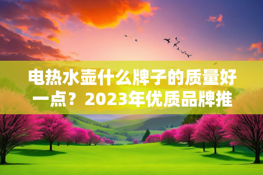 电热水壶什么牌子的质量好一点？2023年优质品牌推荐与选购指南