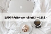 猫科动物为什么怕水（宠物猫为什么怕水）