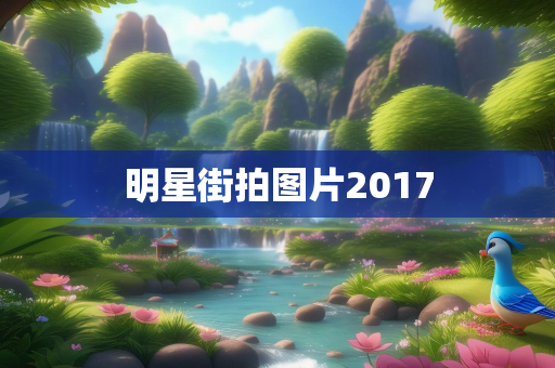 明星街拍图片2017