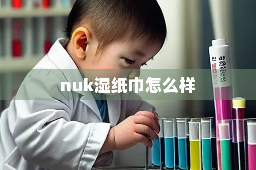 nuk湿纸巾怎么样