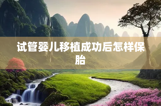 试管婴儿移植成功后怎样保胎