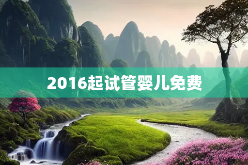 2016起试管婴儿免费