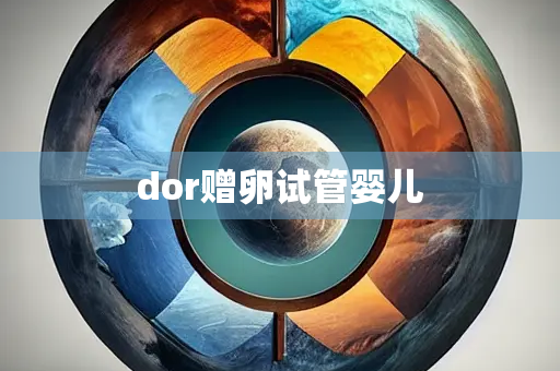 dor赠卵试管婴儿