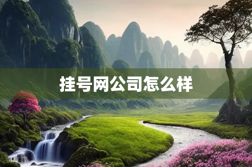 挂号网公司怎么样