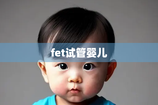 fet试管婴儿