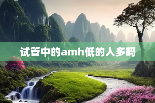 试管中的amh低的人多吗