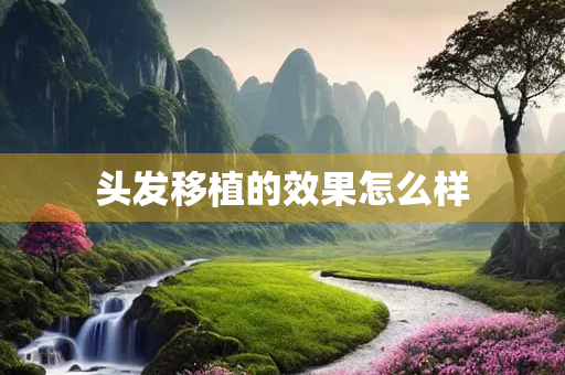 头发移植的效果怎么样