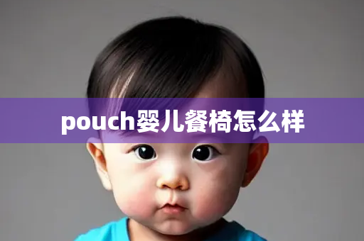 pouch婴儿餐椅怎么样