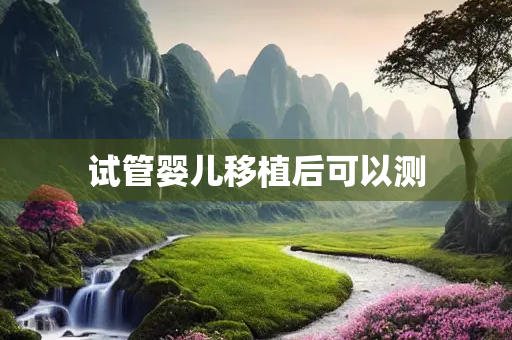 试管婴儿移植后可以测