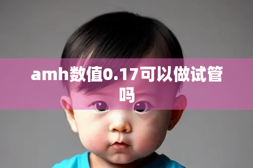 amh数值0.17可以做试管吗