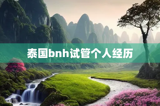 泰国bnh试管个人经历