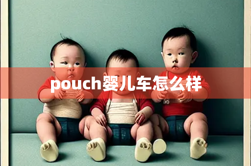 pouch婴儿车怎么样