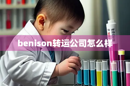 benison转运公司怎么样