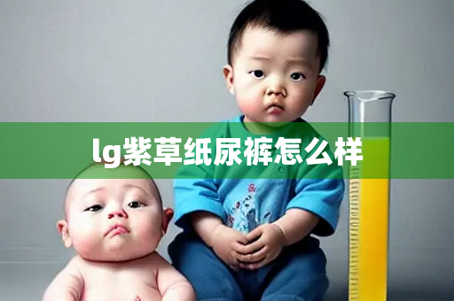 lg紫草纸尿裤怎么样