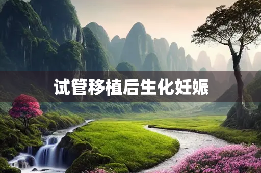 试管移植后生化妊娠