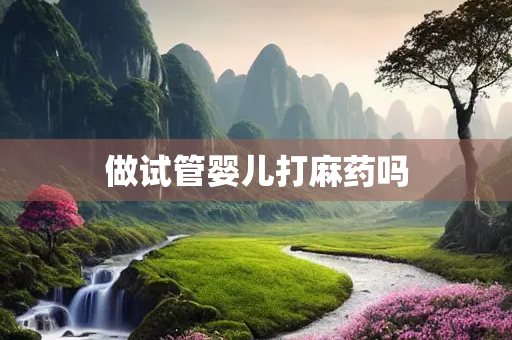 做试管婴儿打麻药吗