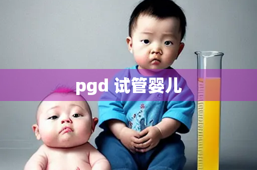 pgd 试管婴儿