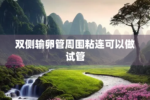 双侧输卵管周围粘连可以做试管