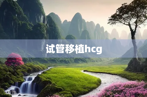 试管移植hcg