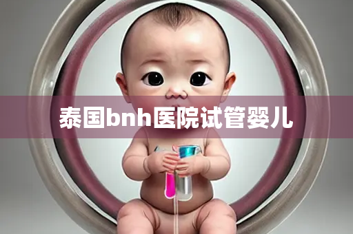 泰国bnh医院试管婴儿