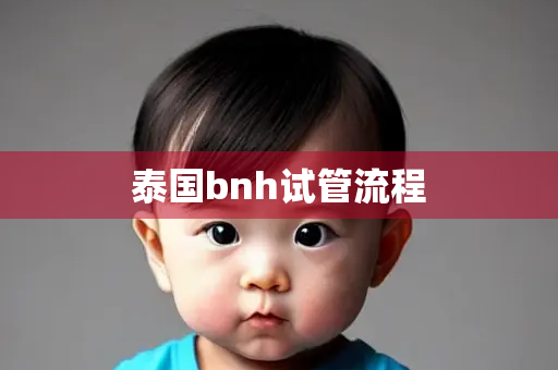 泰国bnh试管流程