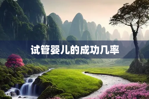 试管婴儿的成功几率