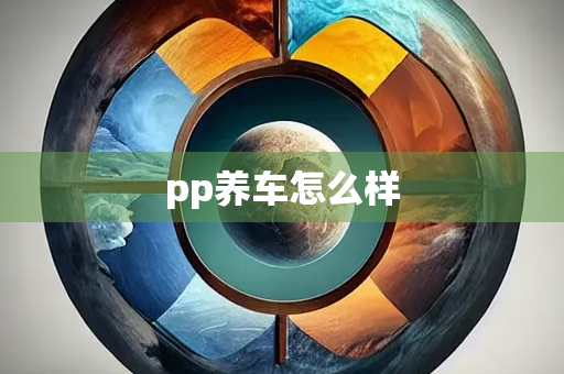 pp养车怎么样