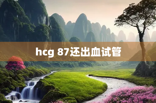 hcg 87还出血试管