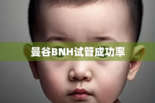 曼谷BNH试管成功率