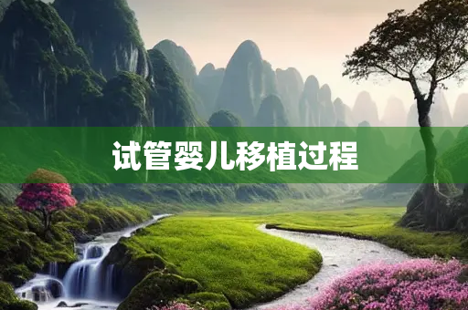 试管婴儿移植过程