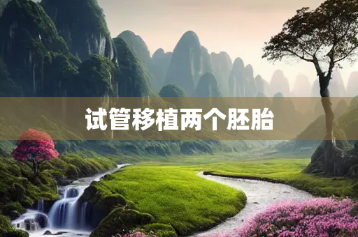 试管移植两个胚胎