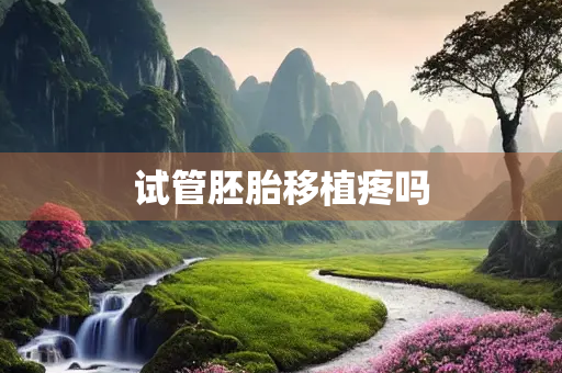 试管胚胎移植疼吗