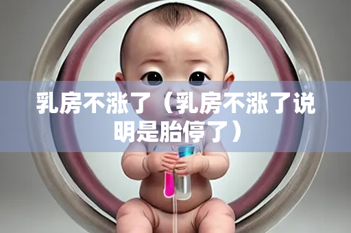 乳房不涨了（乳房不涨了说明是胎停了）