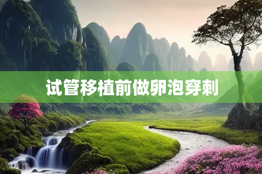 试管移植前做卵泡穿刺