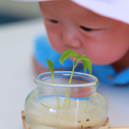 试管婴儿移植后注意事项（试管婴儿移植后注意事项和饮食）