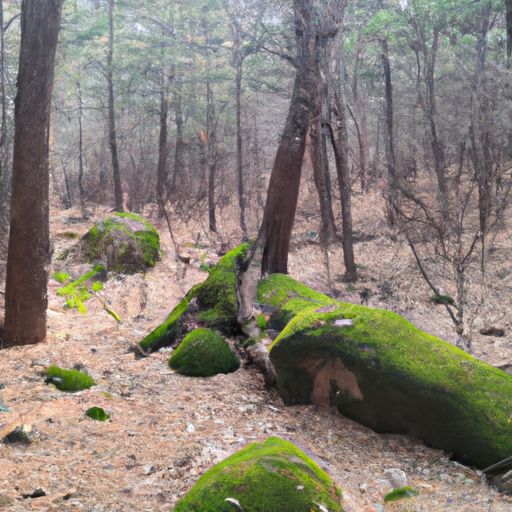 林心如二胎遭霍建华打（林心如生二胎最新消息）